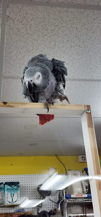 Rensselaer Bird Center Picture 8