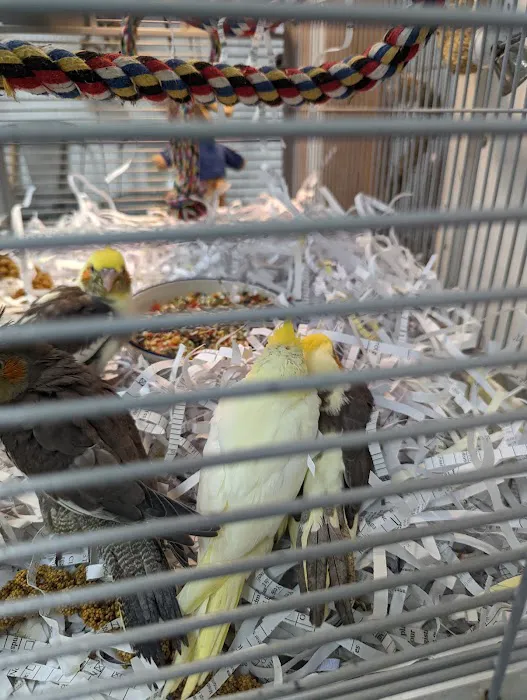 Rensselaer Bird Center Picture 10