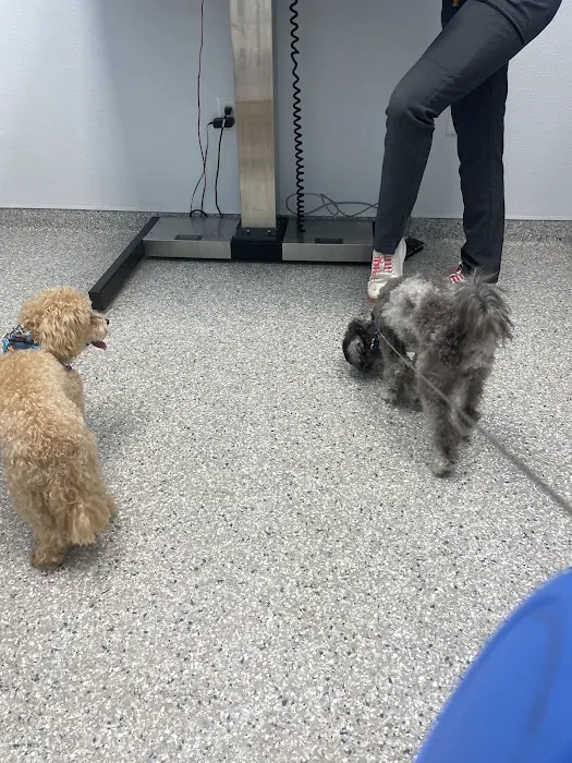 Summit Bridge Veterinary Hospital Picture 5