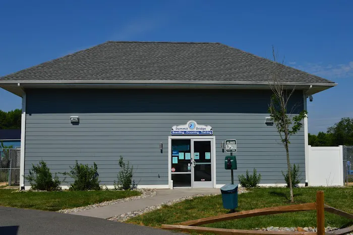 Summit Bridge Veterinary Hospital Picture 3