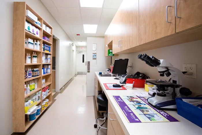 New Holland Veterinary Hospital LLC Picture 8