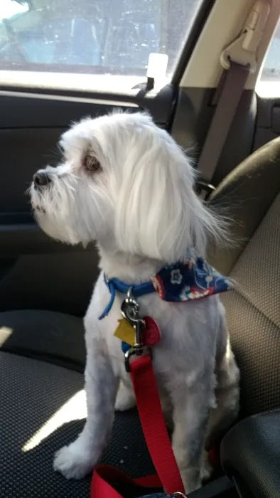 New Holland Veterinary Hospital LLC Picture 9