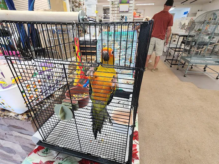 M & D Bird Farm Exotics & Aquatics Picture 2
