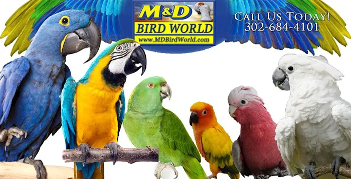 M & D Bird Farm Exotics & Aquatics Picture 1