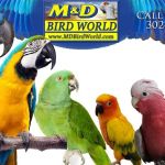M & D Bird Farm Exotics & Aquatics