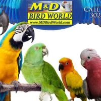 M & D Bird Farm Exotics & Aquatics ico