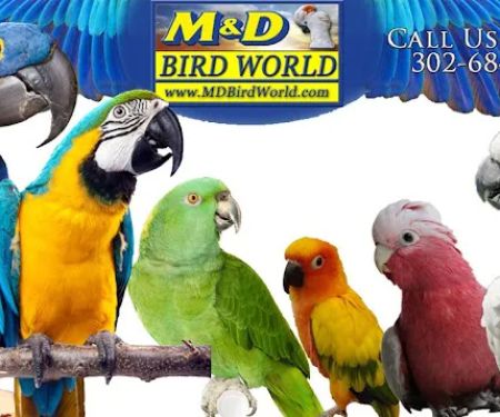 M & D Bird Farm Exotics & Aquatics