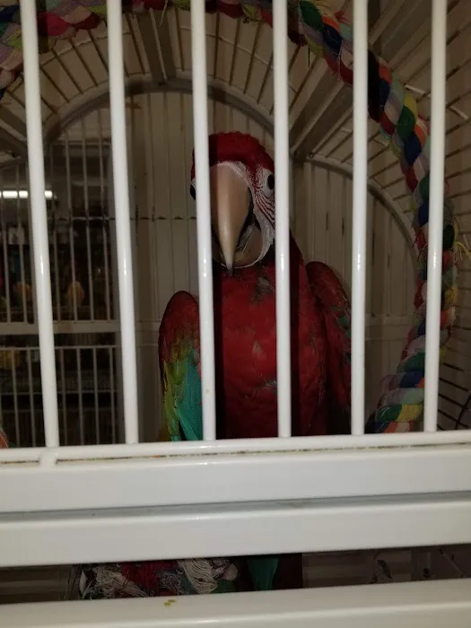 M & D Bird Farm Exotics & Aquatics Picture 3