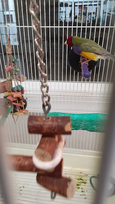 M & D Bird Farm Exotics & Aquatics Picture 4