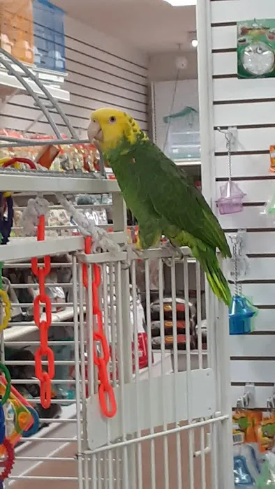 M & D Bird Farm Exotics & Aquatics Picture 5