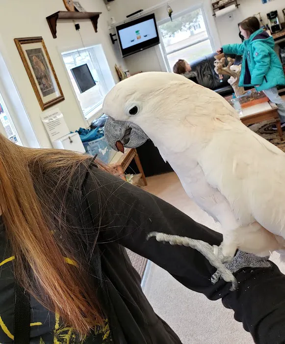 M & D Bird Farm Exotics & Aquatics Picture 7