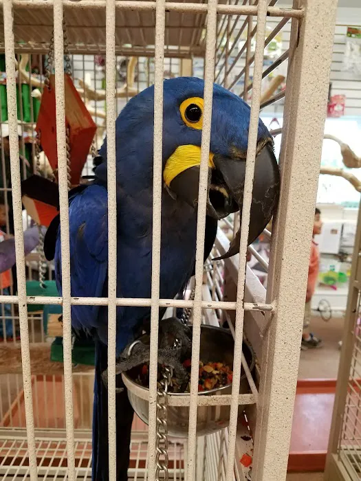 M & D Bird Farm Exotics & Aquatics Picture 8