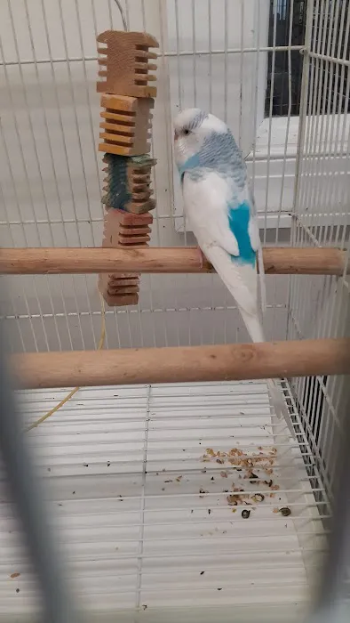 M & D Bird Farm Exotics & Aquatics Picture 9