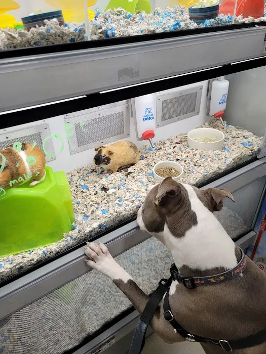 Petco Picture 3