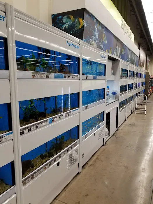 Petco Picture 7