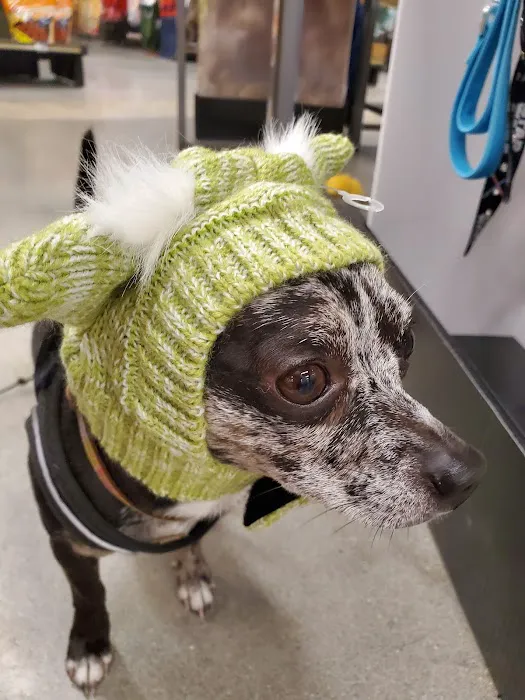 Petco Picture 9