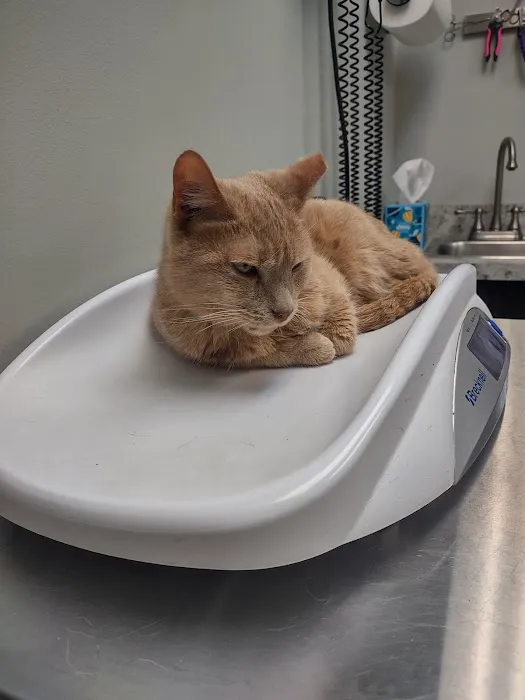 Pine Creek Animal Hospital Picture 2