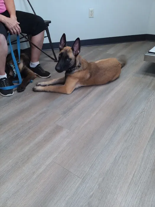 Pine Creek Animal Hospital Picture 1