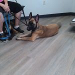 Pine Creek Animal Hospital