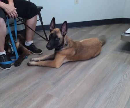 Pine Creek Animal Hospital