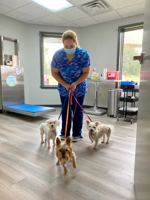 Pine Creek Animal Hospital Picture 9