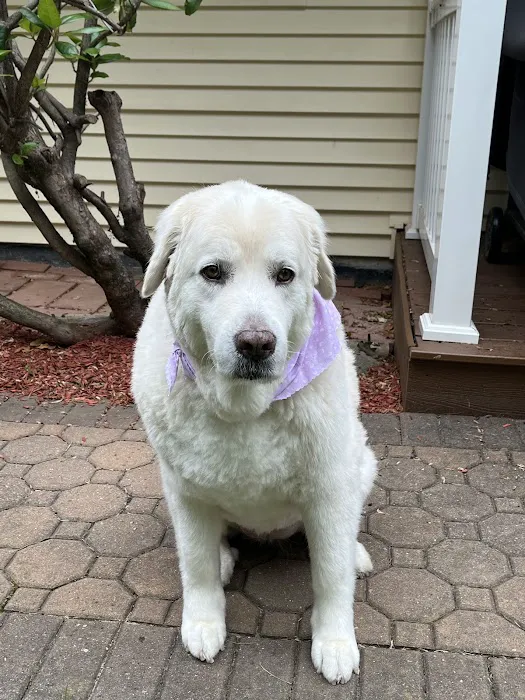 Pine Creek Animal Hospital Picture 10