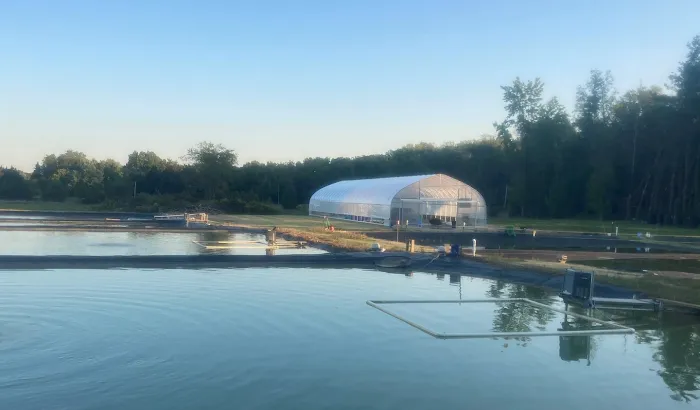 Miyabi Koi Farm Ltd. Picture 3