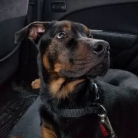 Atglen Veterinary Hospital: Clark Karen DVM ico