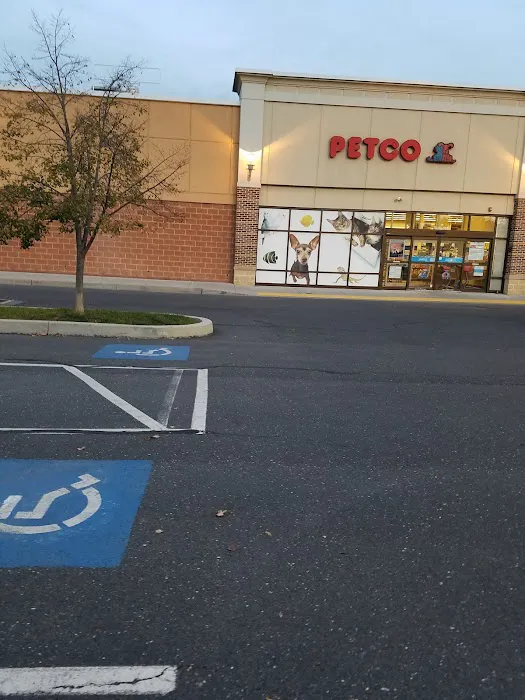 Petco Picture 3