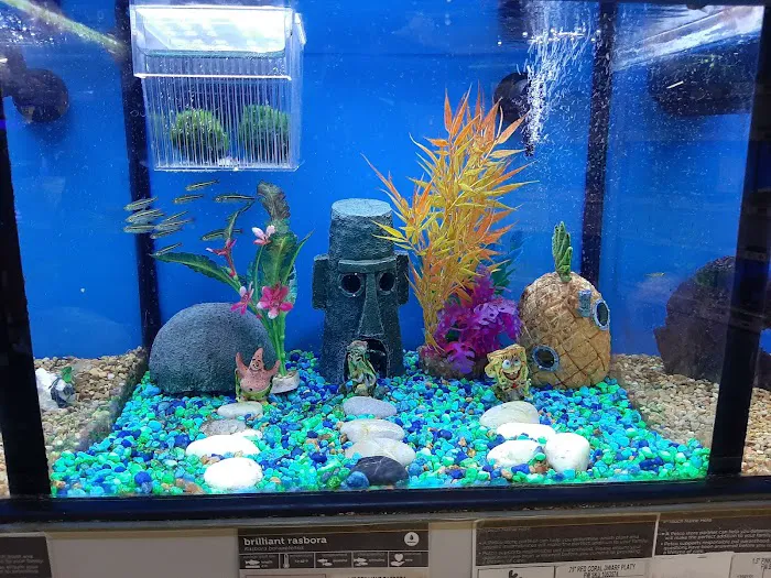 Petco Picture 4