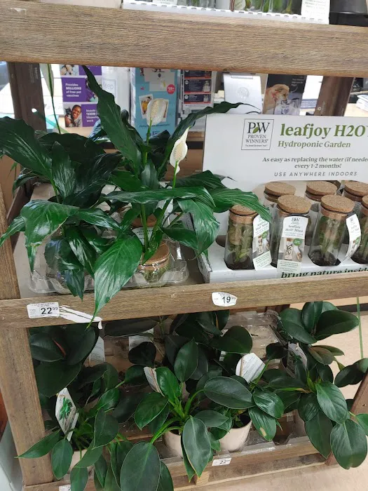 Petco Picture 6