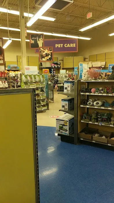 Petco Picture 8