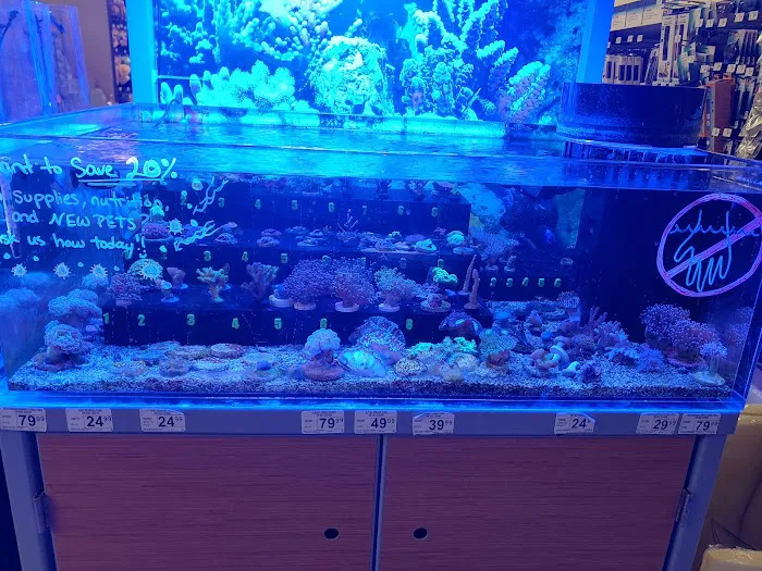 Petco Picture 9