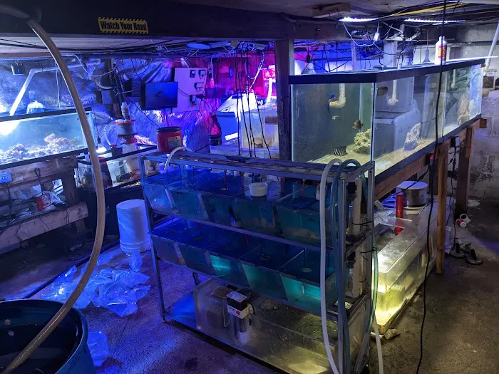 Fish Geeks aquarium maintenance Picture 3