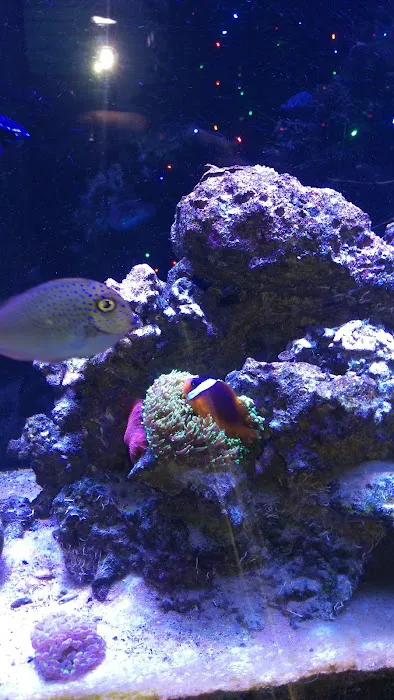 Fish Geeks aquarium maintenance Picture 5