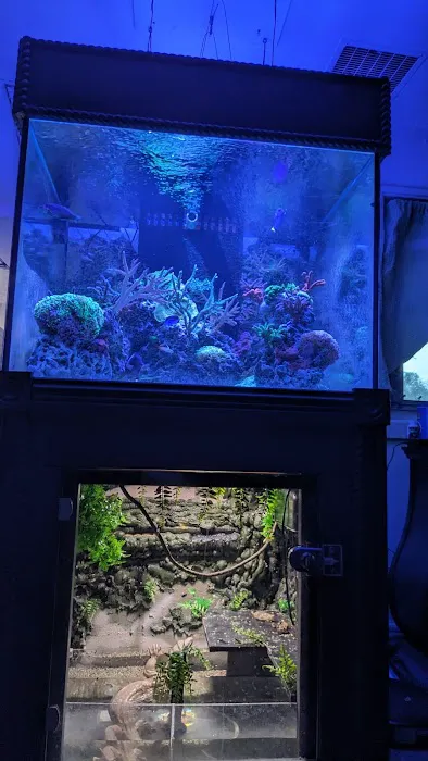 Fish Geeks aquarium maintenance Picture 4