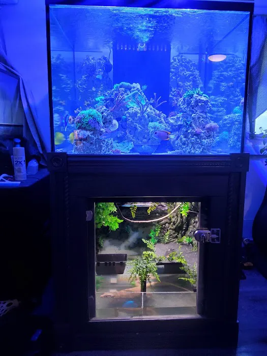 Fish Geeks aquarium maintenance Picture 8