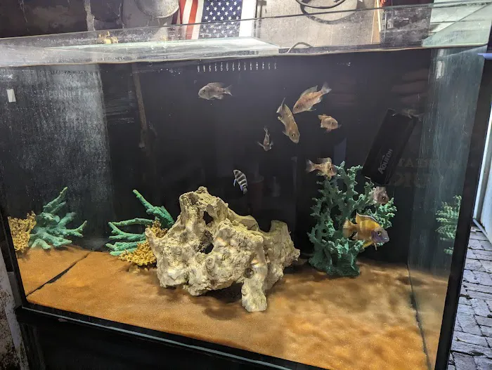 Fish Geeks aquarium maintenance Picture 9