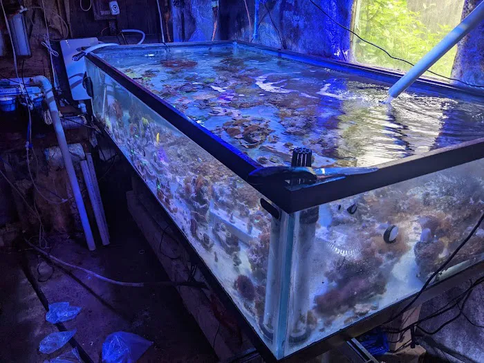 Fish Geeks aquarium maintenance Picture 10