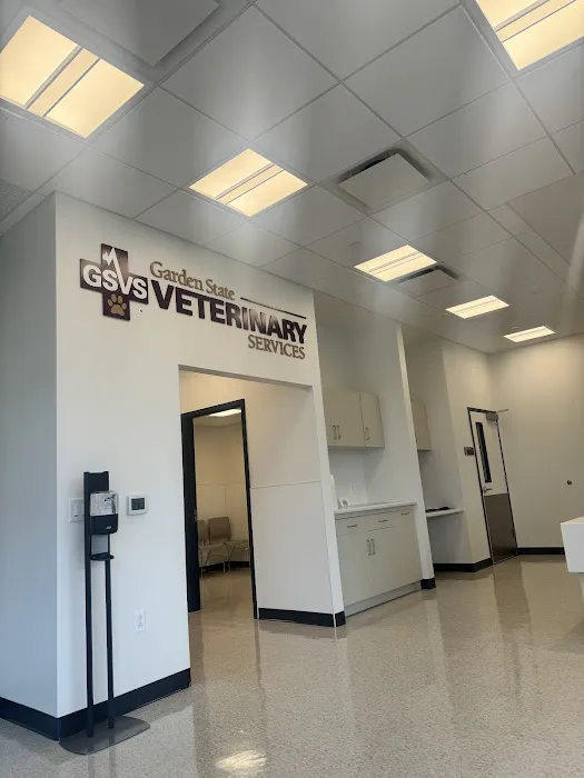 GSVS Veterinary Emergency Care East Brunswick Picture 1