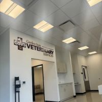 GSVS Veterinary Emergency Care East Brunswick ico