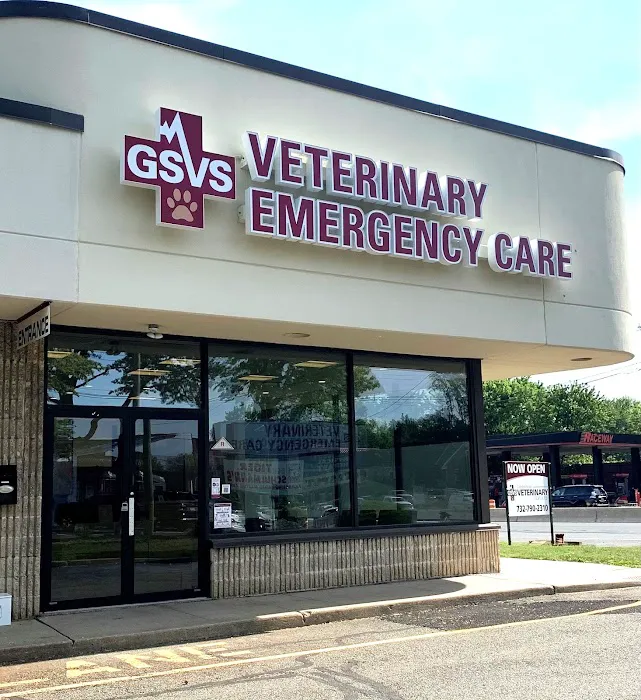 GSVS Veterinary Emergency Care East Brunswick Picture 2