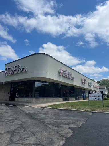 GSVS Veterinary Emergency Care East Brunswick Picture 3