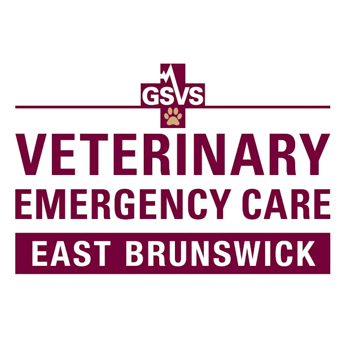 GSVS Veterinary Emergency Care East Brunswick Picture 8