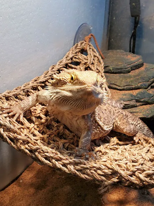 Petco Picture 3