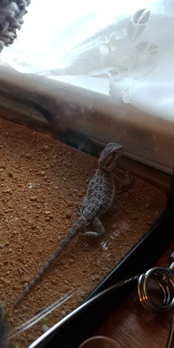 Petco Picture 5
