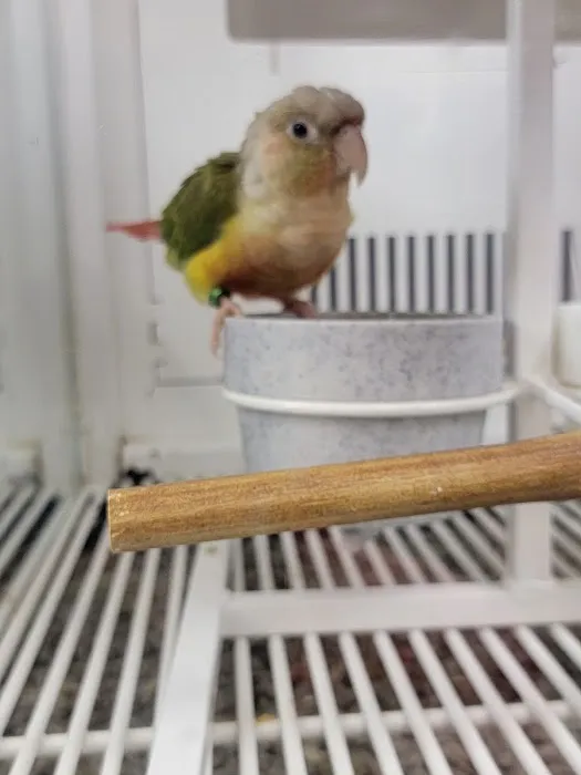 Petco Picture 4