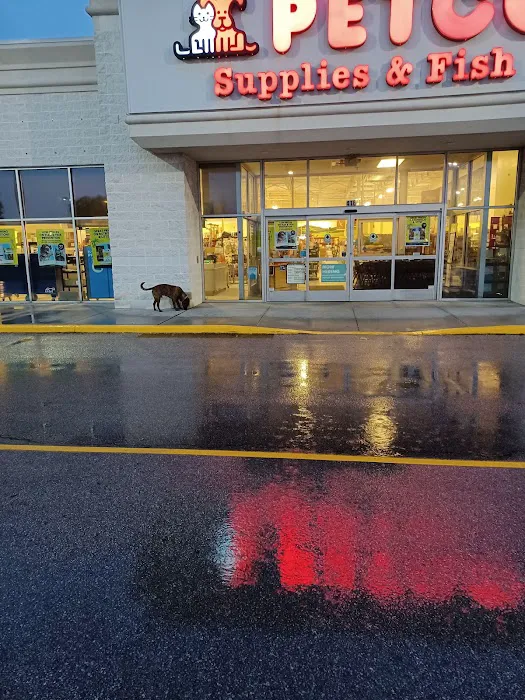 Petco Picture 7