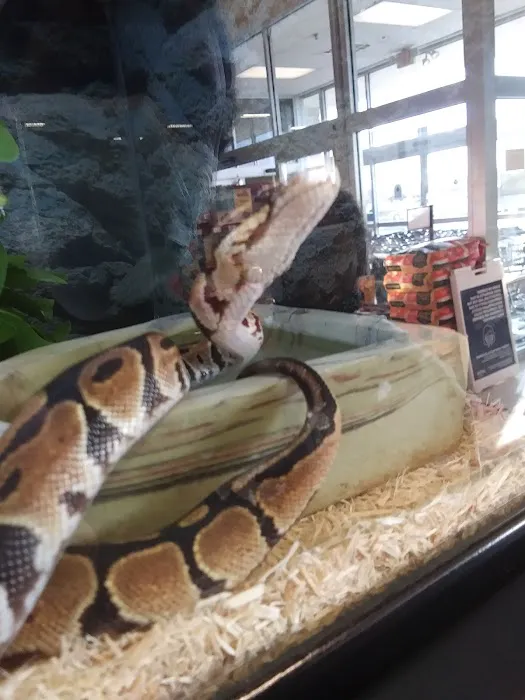 Petco Picture 9