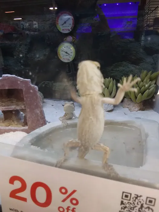 Petco Picture 10